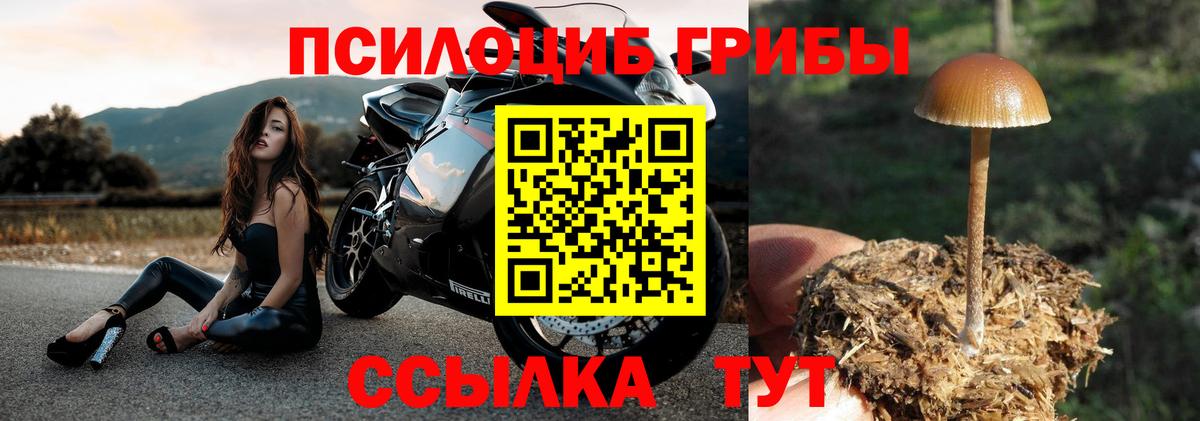 Галлюциногенные грибы прущие грибы Можга