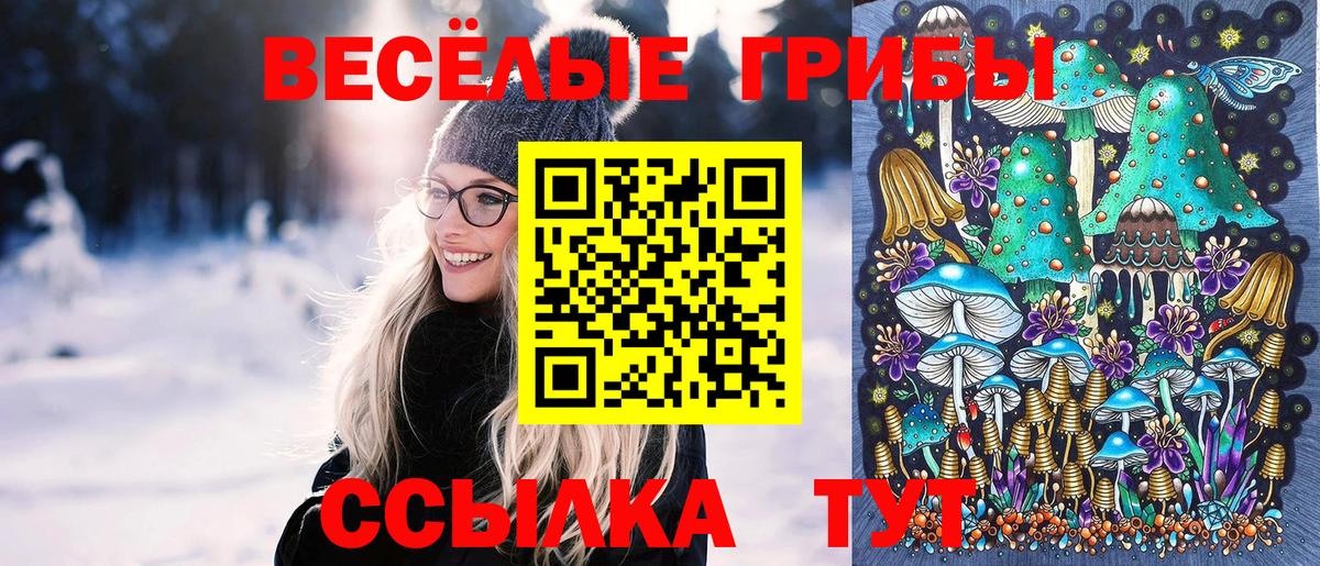 Можга  Псилоцибиновые грибы Magic Shrooms  Вход с VPN  Галлюциногенные грибы прущие грибы 